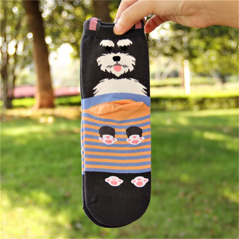Kawaii Women's Animal Cotton Socks Autumn Winter Lovely Pug Border Collie Corgi Patterned Female Ladies Funny Cute Sock