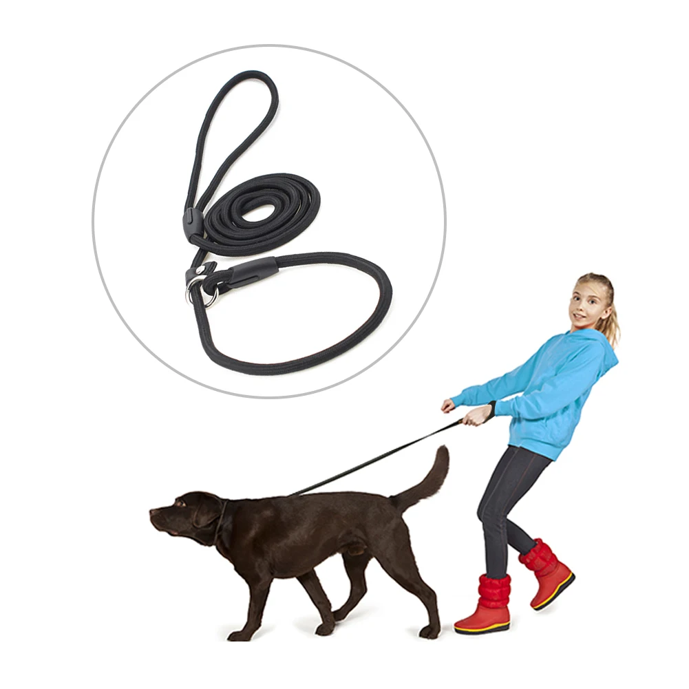

Pet Leash Beautiful and Fashionable Rope Nylon Adjustable Training Lead Dog Strap Rope Traction Harness Collar Running Leashes