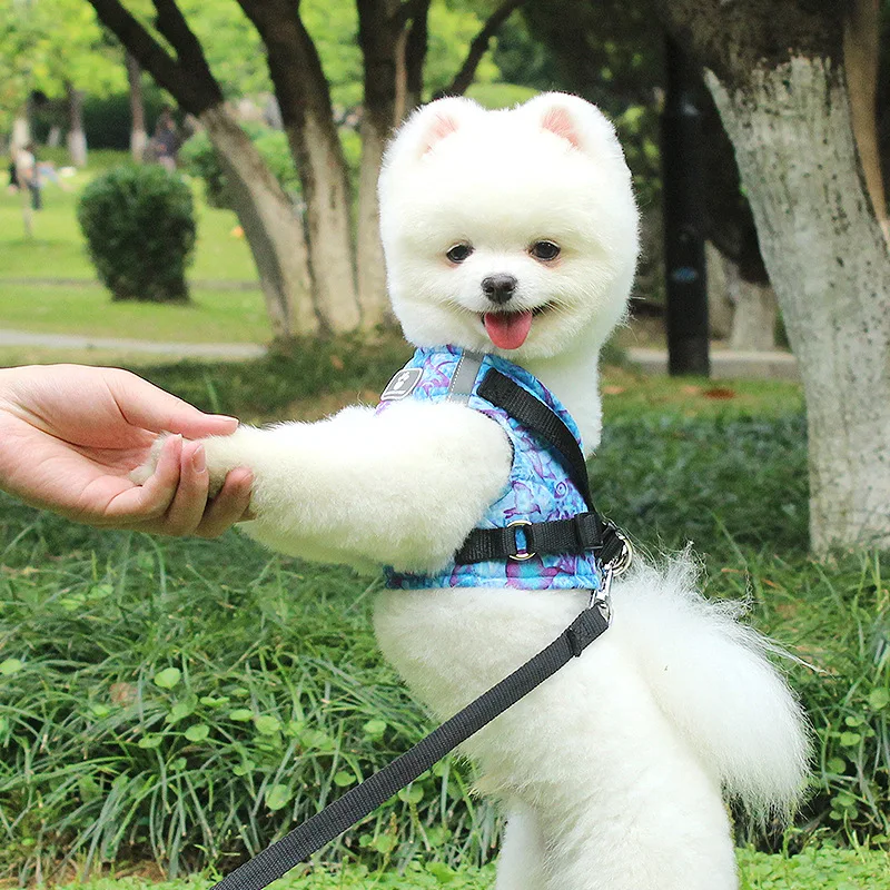 Набор жилетов и поводков для маленьких средних собак щенков бульдогов корги