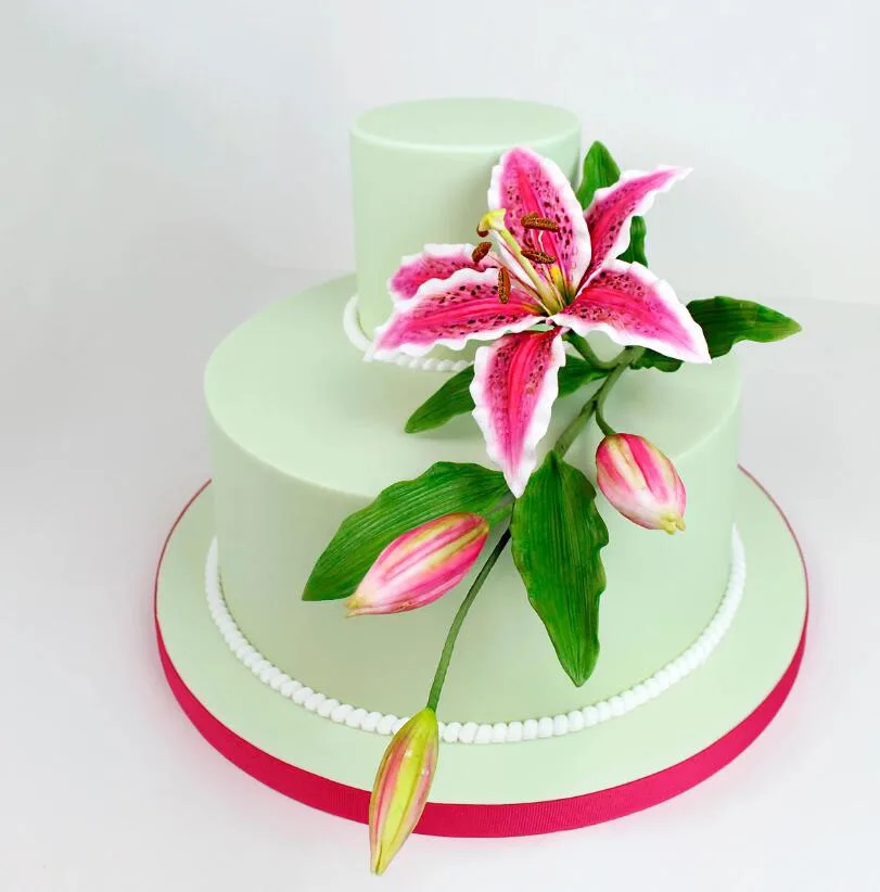 1 шт. силиконовая форма для украшения тортов| |