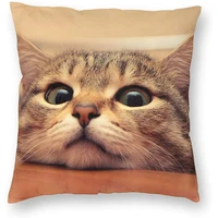 wazhijia cat pillow cover animal pillowcase square throw pillow case home decorative sofa armchair bedroom