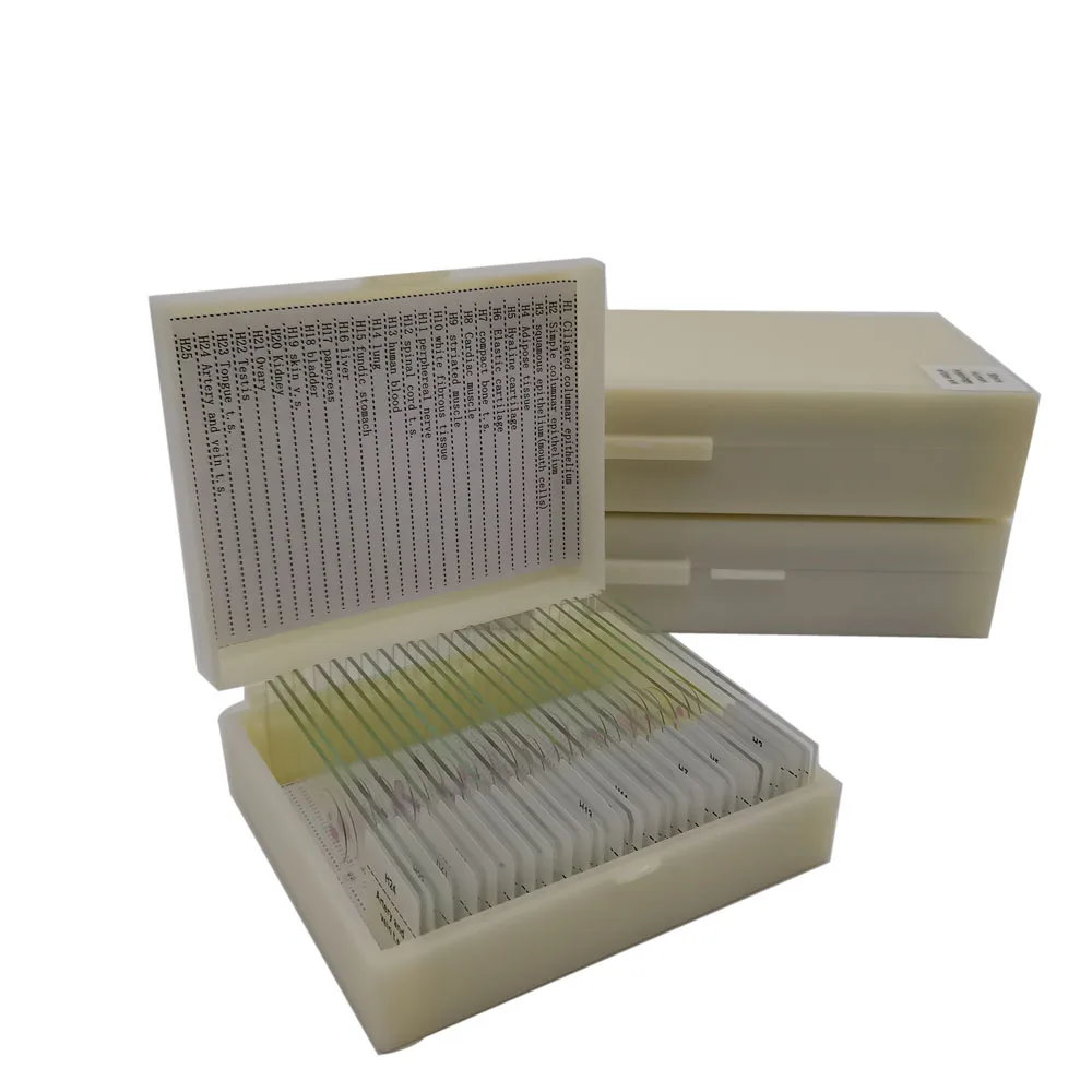 24 шт. специальные гистологические предметы | Канцтовары для офиса и дома