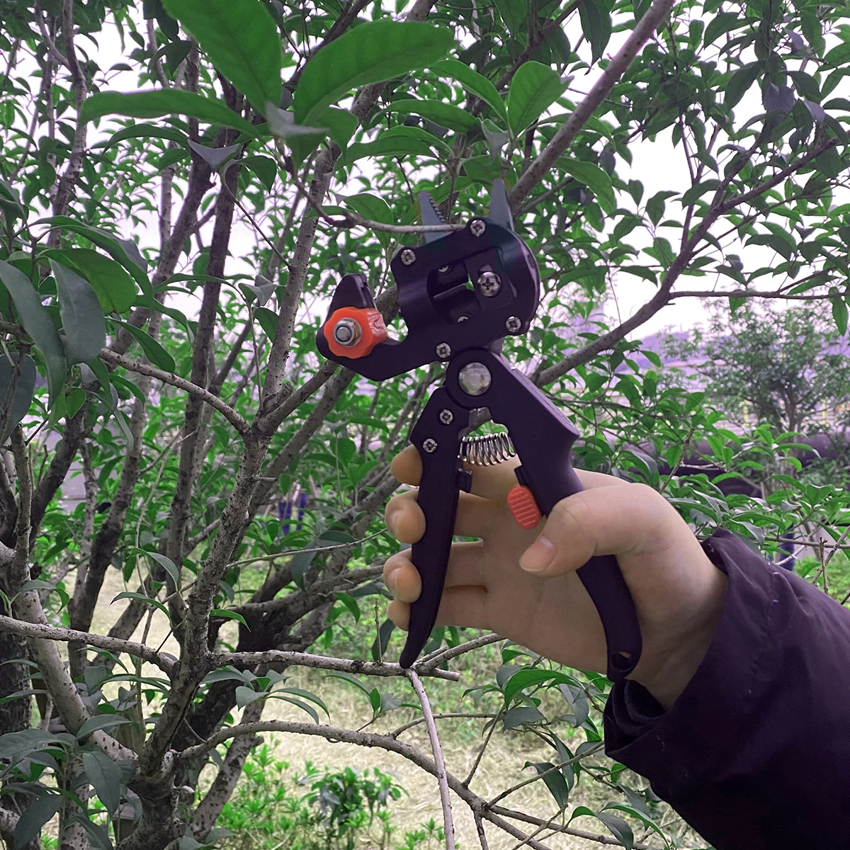 

Pruning CuttingGrafting Shears Tree Pruning shears Household Garden shears + 2 Additional Blades garden tools BoxesDrop shipping