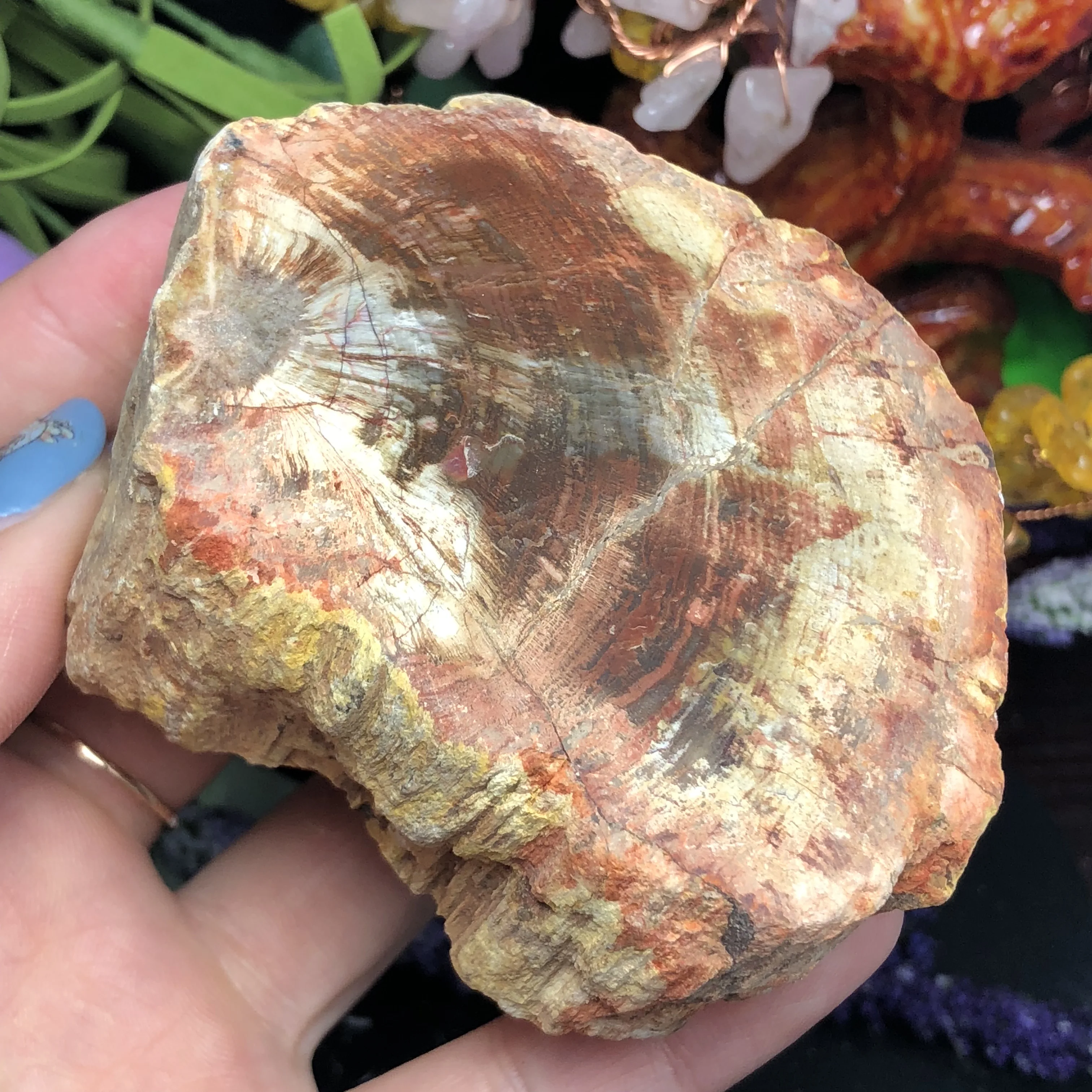 Натуральный каменный камень из окаменелого дерева натуральный минеральный