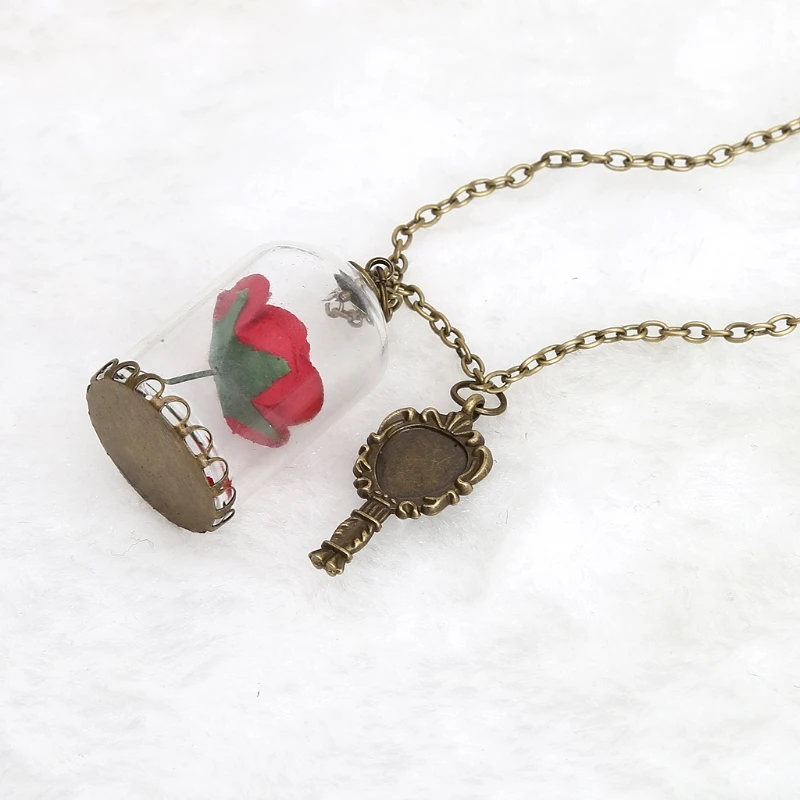 

Women Romantic Dried Flowers Glass Bronze Long Chain Beauty and Beast Necklaces
