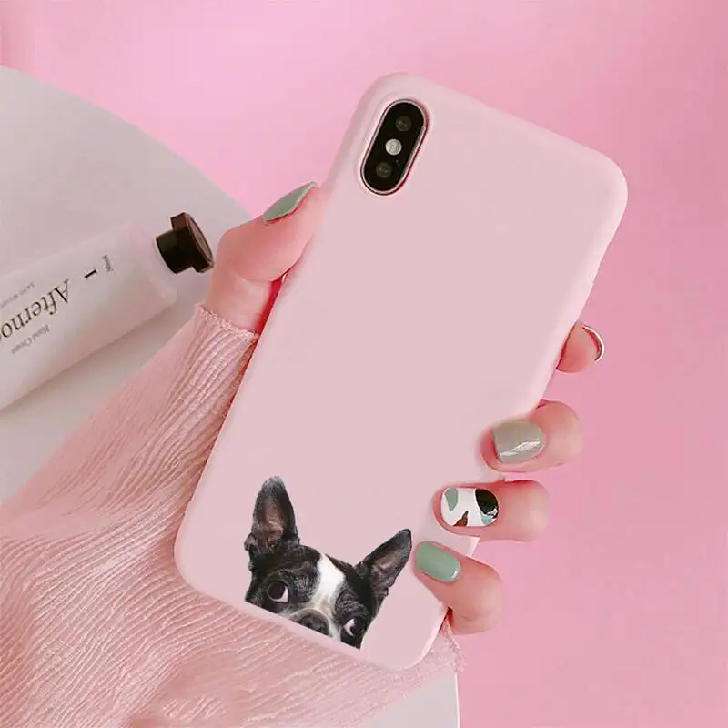 

Cute dog Phone Case Candy Color for iPhone 6 7 8 11 12 s mini pro X XS XR MAX Plus