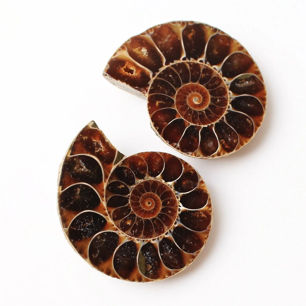 2 шт. подвеска в виде скорлупы|Камни| |