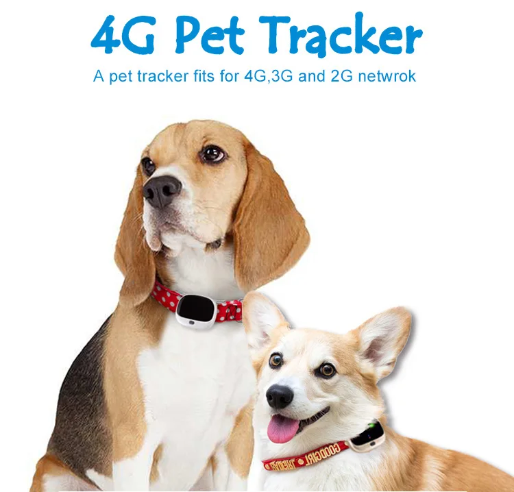 

Global Locator Real Time Pet GPS Tracker for Pet Dog Cat GPS Collar Tracking Pet GPS Locator support 4G/LTE 3GWCDMA/2G GSM