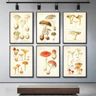 Винтажная живопись на холсте в виде грибов, постеры для рисования, настенные картины, атлас съедобных и ядовитых грибов, искусство
