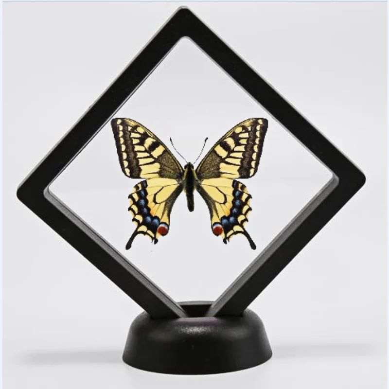 

Образец бабочки настоящие украшения для домашнего образования материал Декор для дома бабочка образец художественное произведение в рамк...