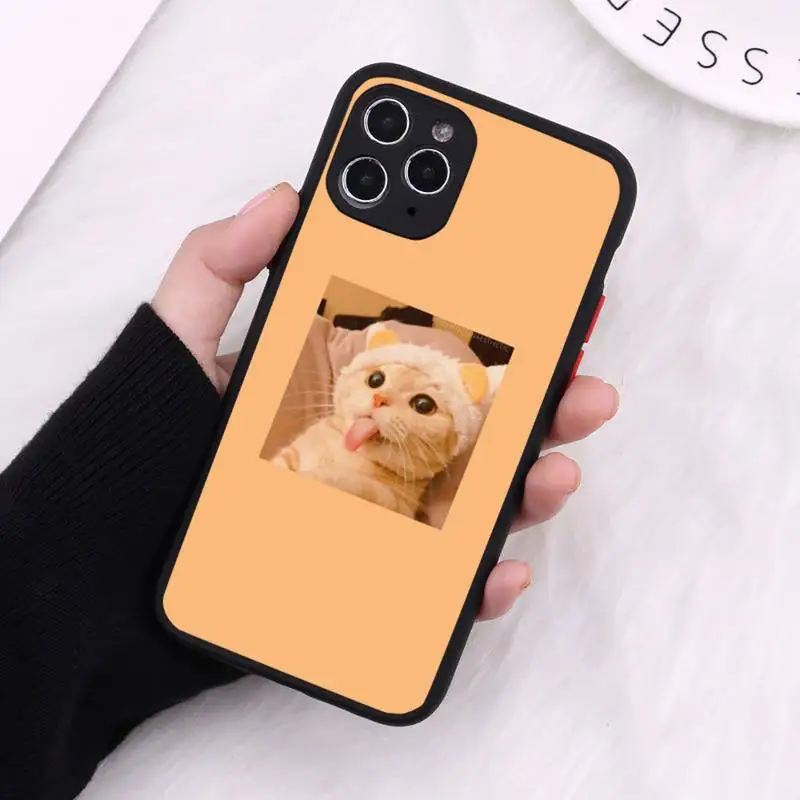

Phone Case For iPhone 12 11 Mini Pro XR XS Max 7 8 Plus X cute cat Pink Aesthetic Matte transparent Cover