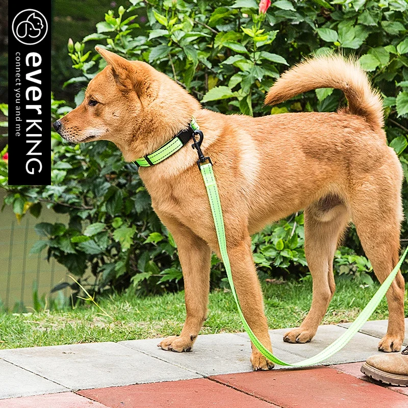 

Designer High-quality Nylon Solid Color Reflective Dog Leash Luminous Pet Cat Dog Collar Harness Leash Set Accessories