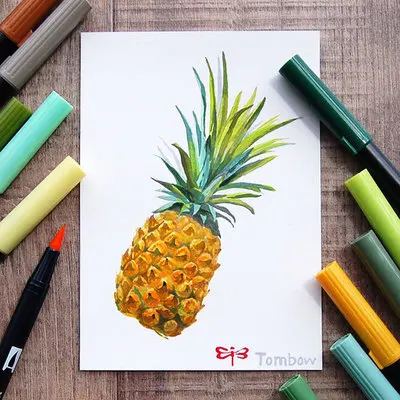 10 шт./компл. набор ручек для каллиграфии TOMBOW двусторонние маркеры цветная ручка