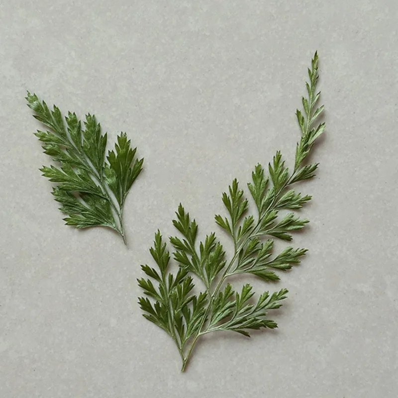 Свеча для чая органический соевый воск натуральные ингредиенты цветок лимон