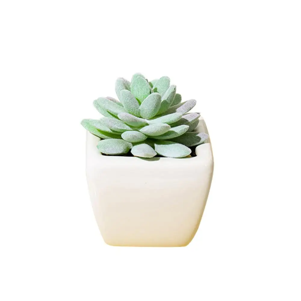 

Artificial Succulent Square Potted Plant Home Creative Fake Flower Balcony Desktop Pottery Bonsai Decoration