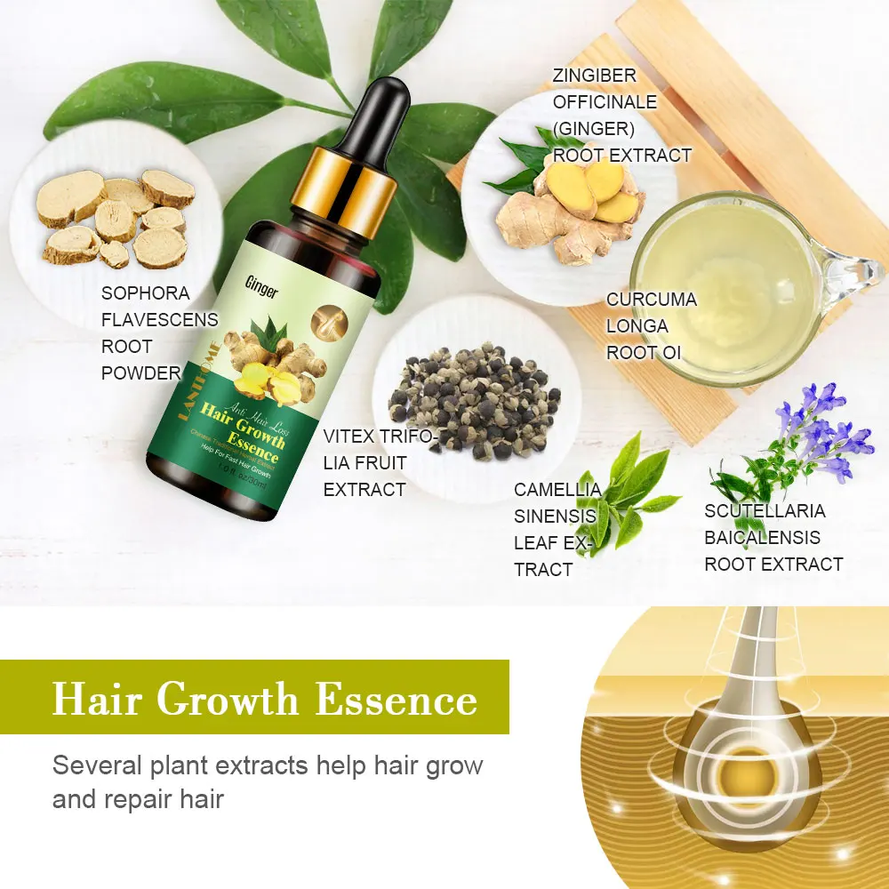 

30ml Ginger Extract Dense Hair Fast Sunburst Hair Growth Essence Restoration Hair Loss Liquid Serum Hair Care Oil