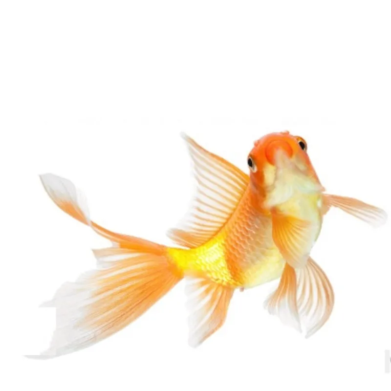 Горячая аквариум лиофилизированный Артемия креветок тропический небольших