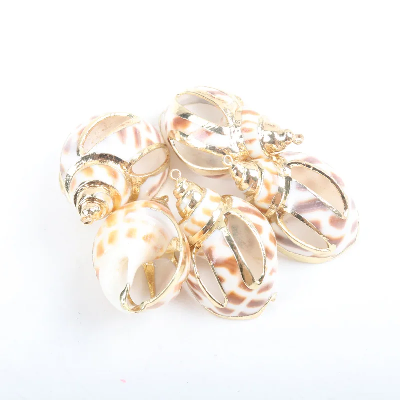 

Gold plating Aquarium Beach Nautical DIY Shells Colorful Natural Seashells Decorations Scallop Shells Crafts Decor Ornament 5Pcs