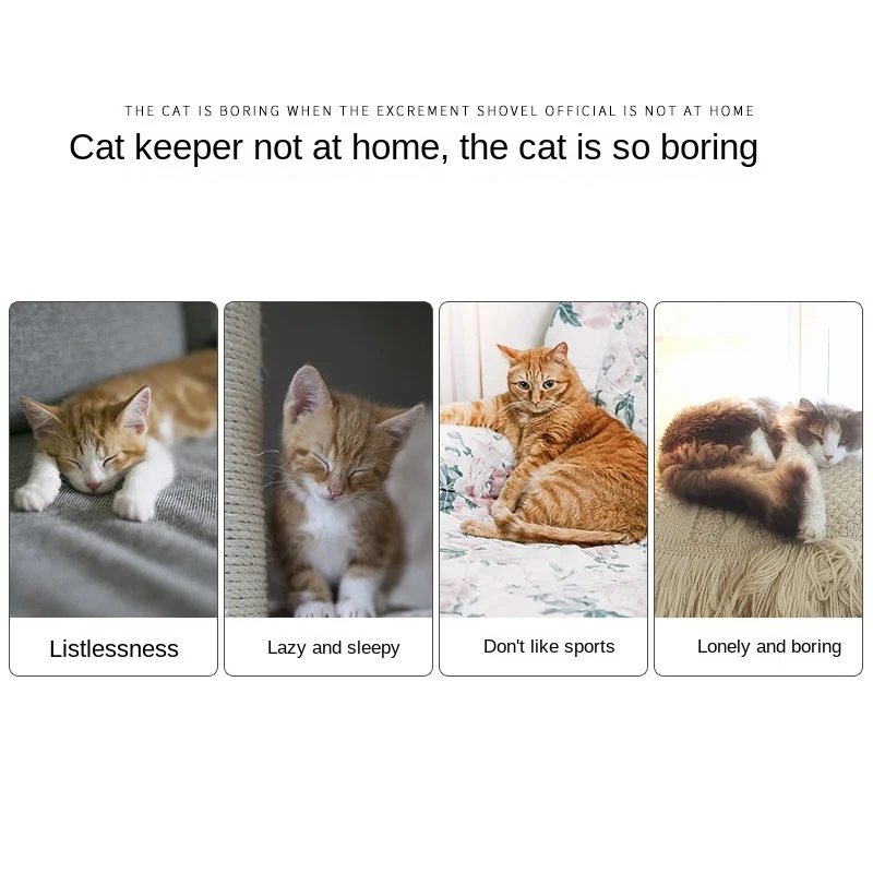 Интерактивный Лабиринт для кошек и охоты с USB-зарядкой | Дом сад