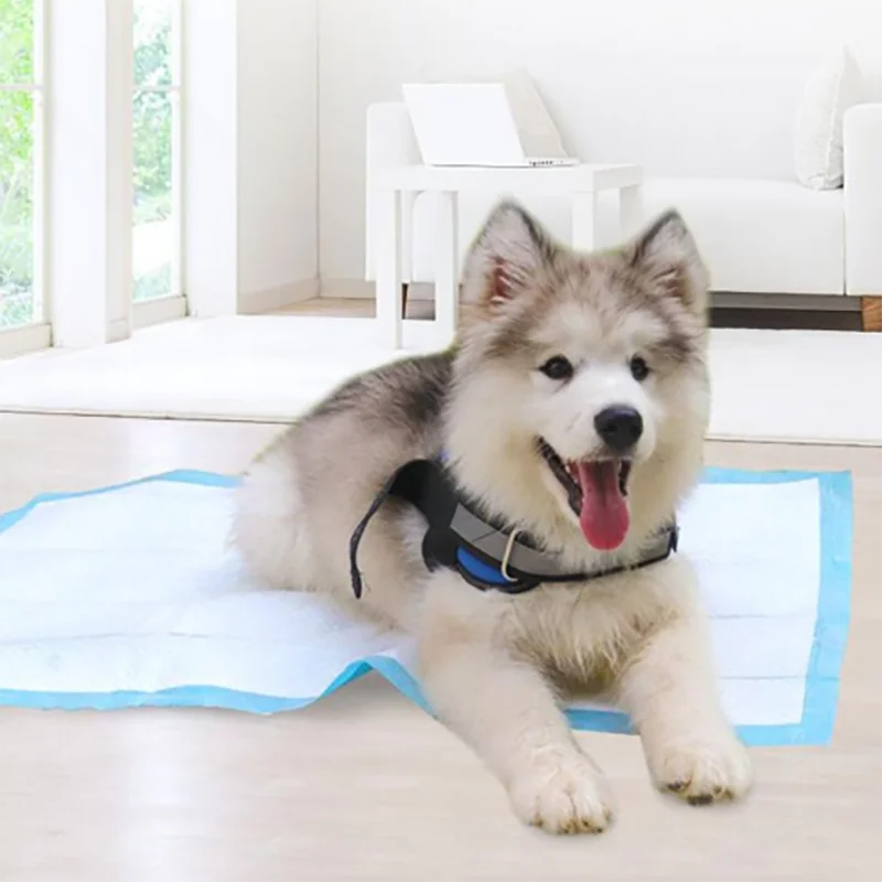 Тренировочные коврики для собак и щенков подгузники дезодорирующие впитывающие