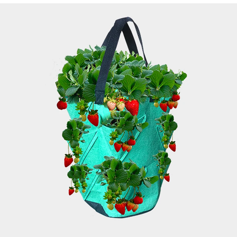 3 галлона сажалка для клубники ткань клубника посадки мешок дышащая горшок с