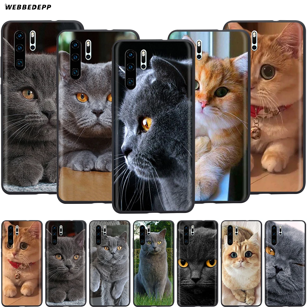 Webbedepp Британский короткий чехол с котом для Huawei Mate 10 20 30 Nova 2i 2 3 3i 4 5i Y5 Y6 Y7 Y9 Pro Lite
