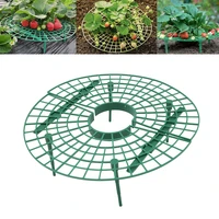 strawberry growing circle support rack tray gardening balcony fruit vegetable vine plants protective frame stand holder