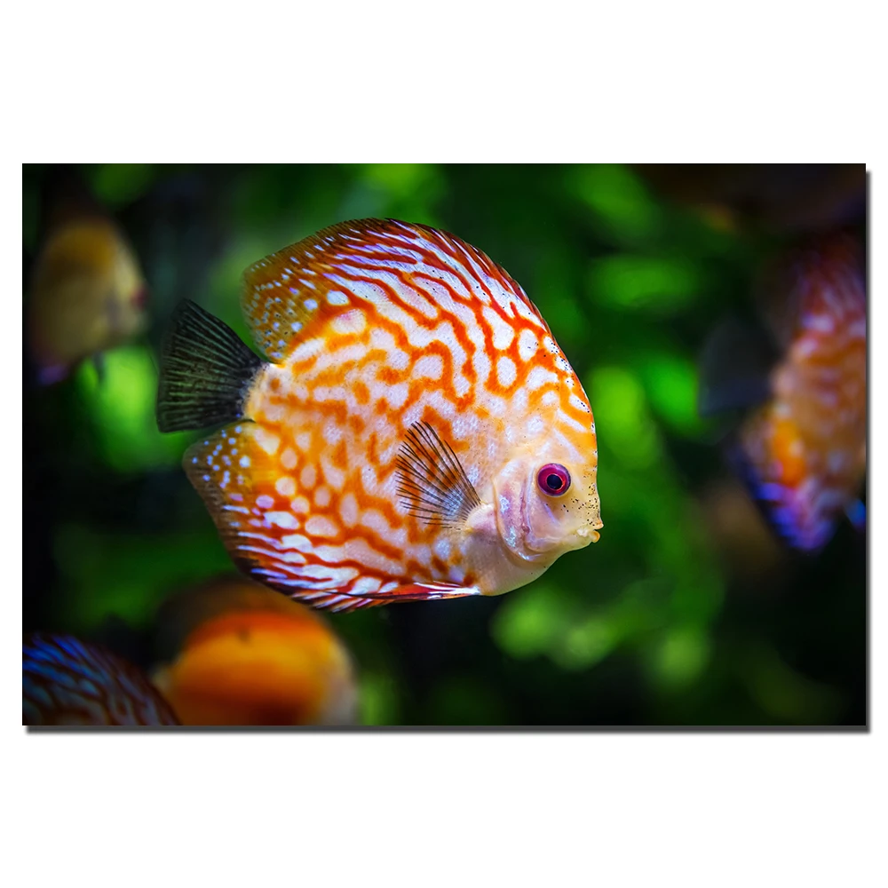 

1 шт., Настенная картина в скандинавском стиле