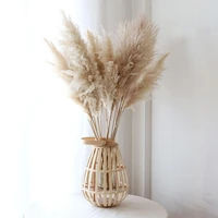 30pcs new product 2020 pampas grass bunch christmas decor real pampas grass natural dried plant ornaments wedding decor