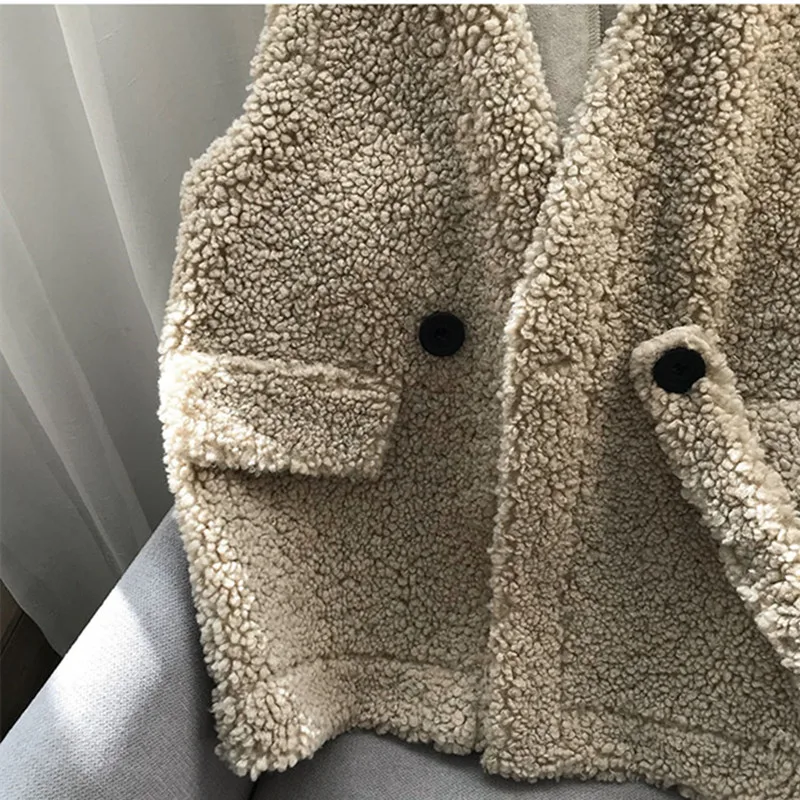 Одноцветный жилет из овечьего меха 2019 осенний и зимний новый свободный ретро с