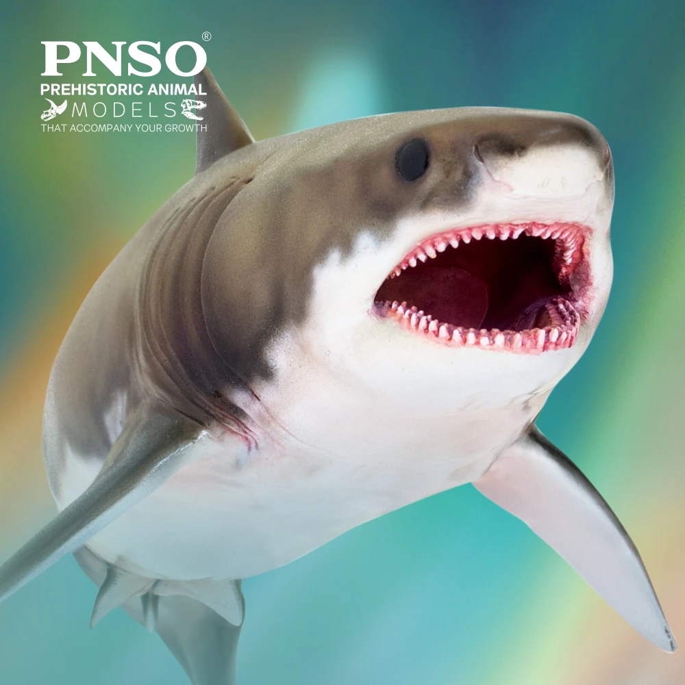 PNSO-modelos de dinosaurios prereligiosos, modelo 54Aidan, La Cretoxyrhina-0