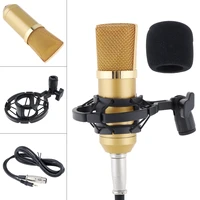 professional bm 700 condenser microphone with circuit control gold plated large diaphragm head for studio ktv studio recording