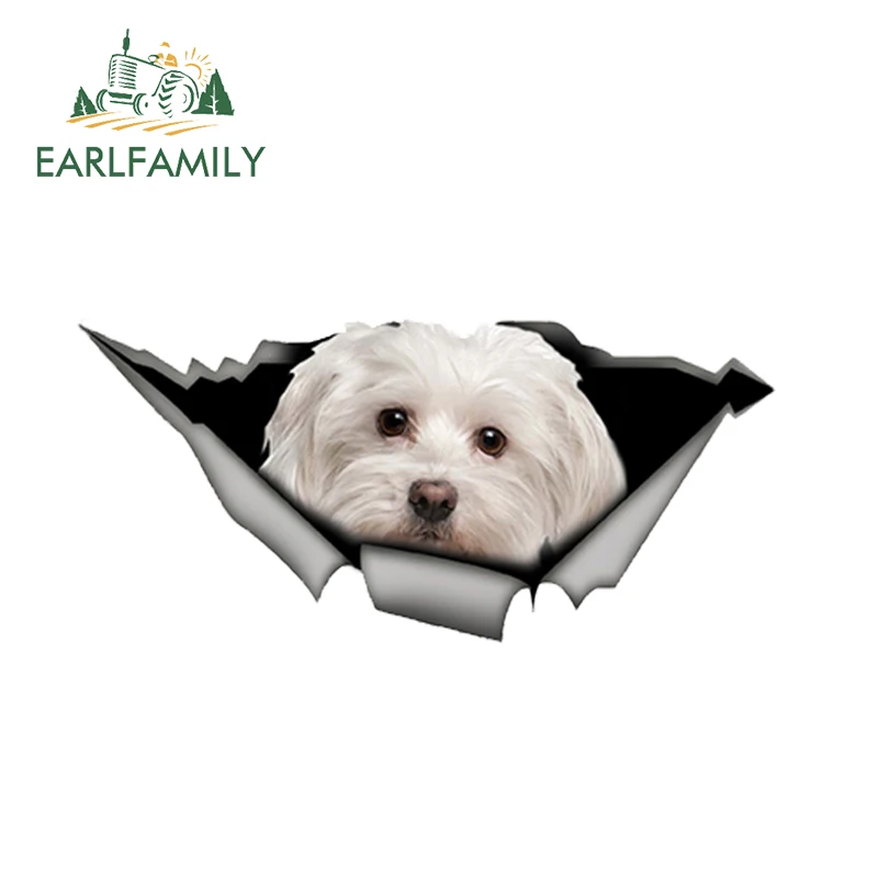 EARLFAMILY 13 см x 6 милый Мальты автомобиля Стикеры Pet декоративная собака для рваные