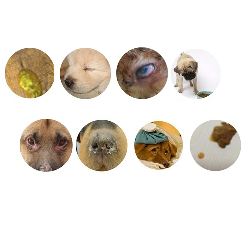 

Лидер продаж, бумага для обнаружения парвовируса с коллоидными тест-полосками для собак