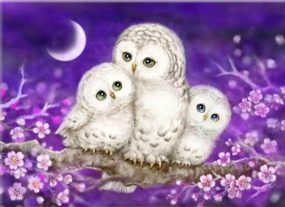 

Full Lovely Owl Diamond Painting Mosaic Bedroom Decor Rubik's Cube Round Diamond Embroidery Cross Stitch Cartoon