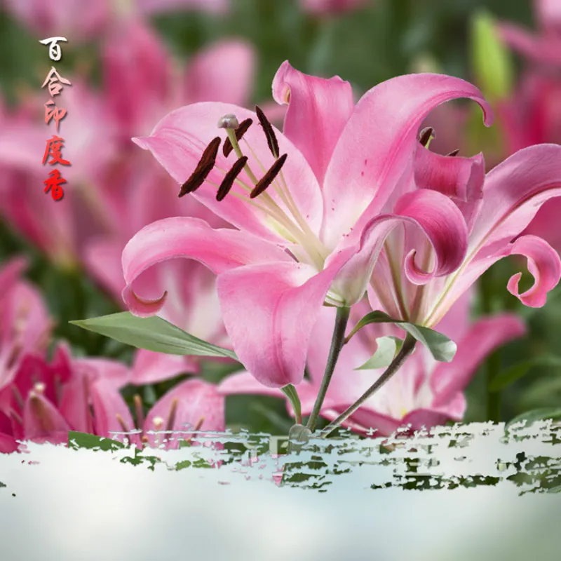 Индийские ароматические палочки ручной работы ароматизатор лилии для дома 20