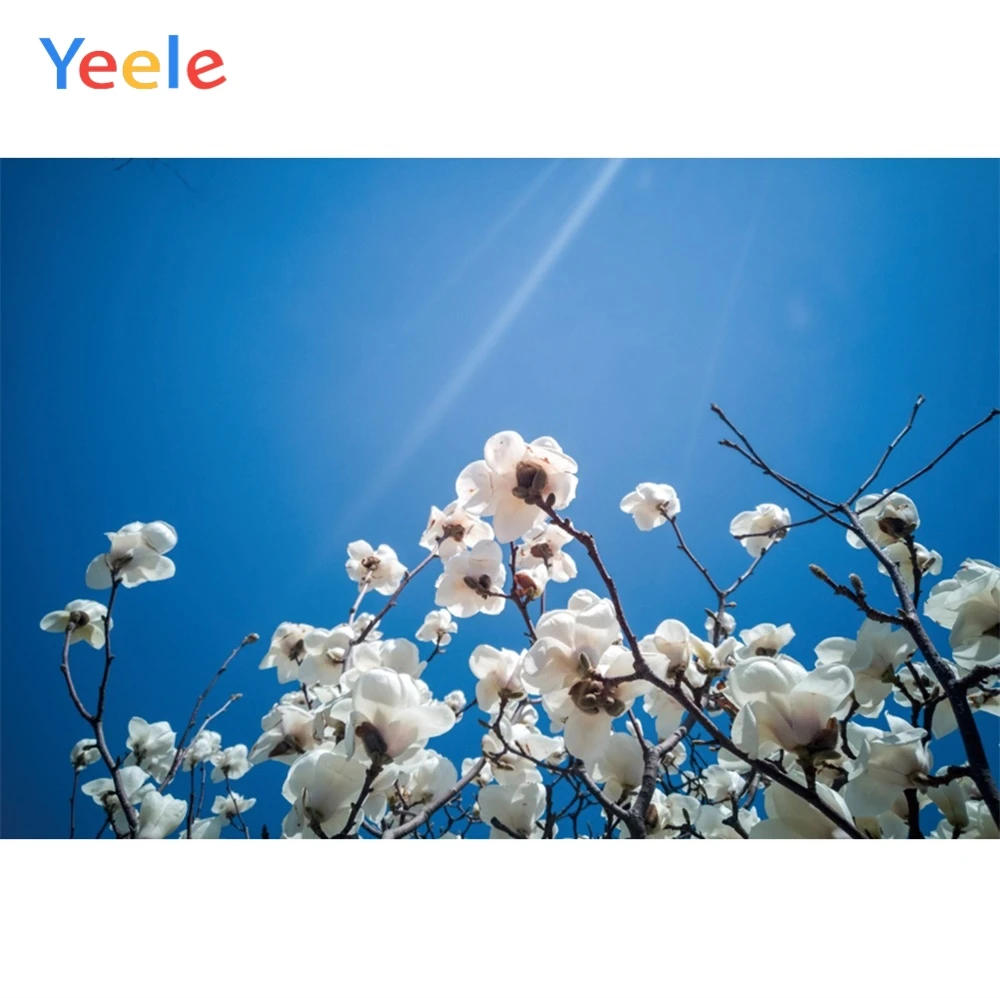 Yeele голубое небо цветы ветви весенний пейзаж Детские фотографии фоны