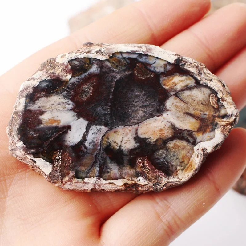 1 шт. натуральное дерево минерал образец для домашнего декора полированный