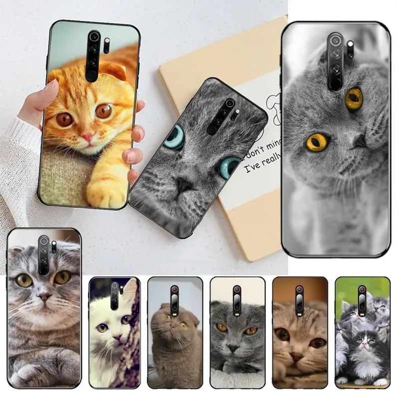 Мягкий силиконовый чехол из ТПУ со шотландским котиком для Redmi Note 8 8A 8T 7 6 6A 5 5A 4 4X 4A