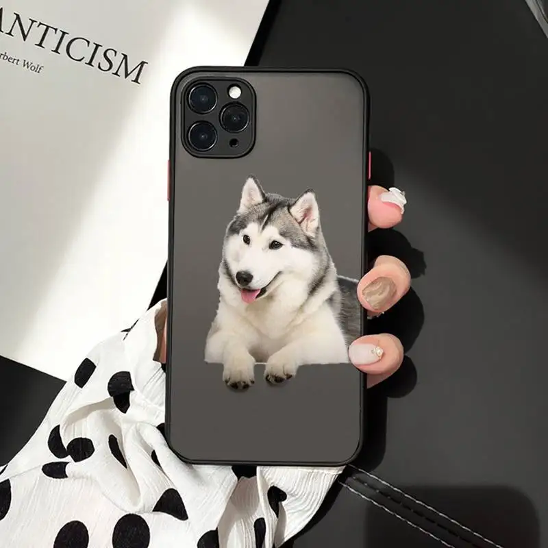 

Husky Kawaii Wolf cute Phone Cases matte transparent For iphone 7 8 11 12 plus mini x xs xr pro max cover