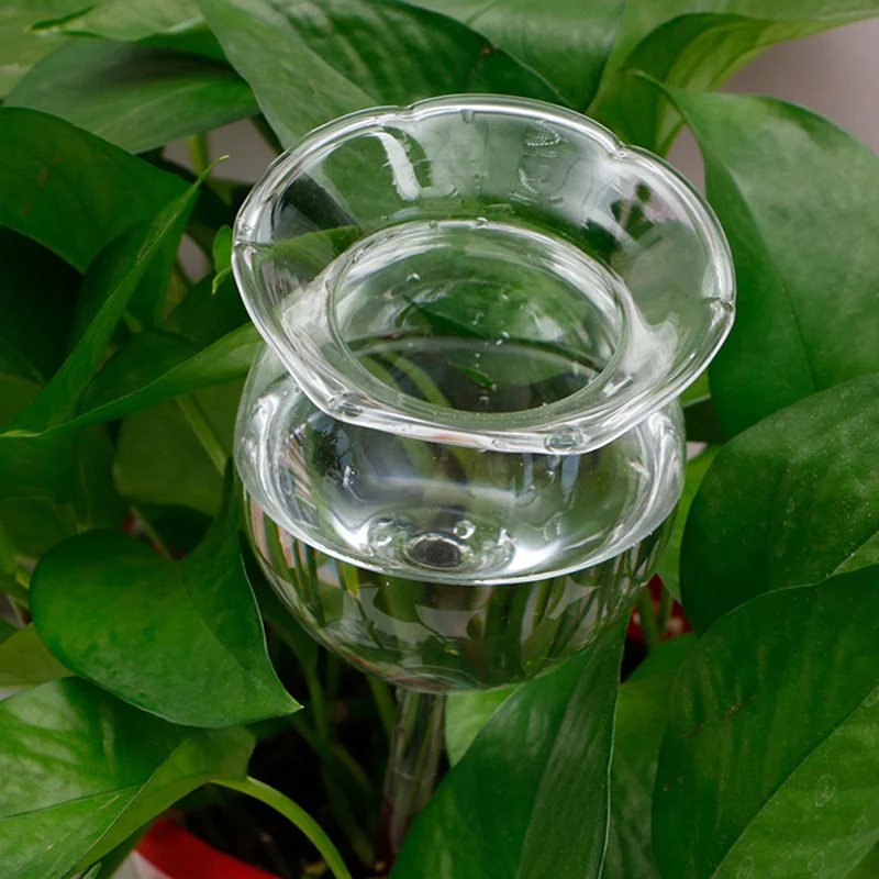 

Устройство для автоматического полива растений, водный питатель в форме сердца, из стекла