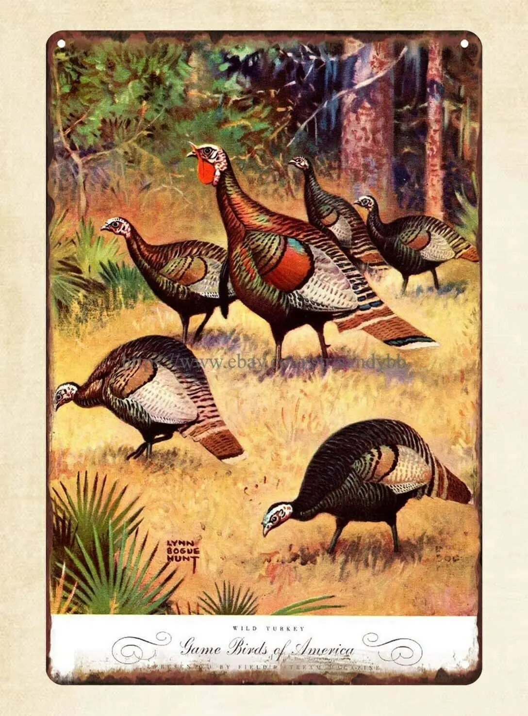 

Metal Tin Signs Unique Home Decor Game Birds of Amaerica Wild Turkey Wall Decor for Bars,Restaurants,cafes Pubs,8x12 Inch