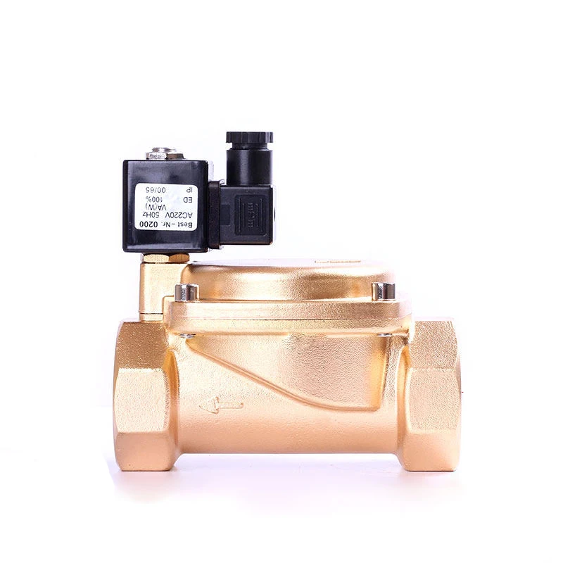 

2" High Pressure Normally Closed Brass Solenoid Valve 0927 1.6Mpa Pilot Operated Solenoid Valve 220V 24V 12V