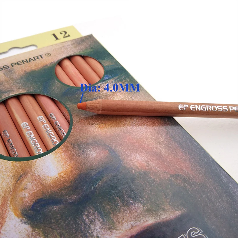 12 цветов мягкие пастельные карандаши профессиональный ТИНТ кожи цветные для