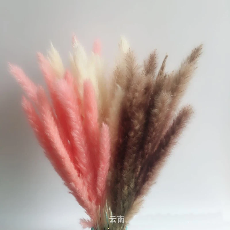 15 шт. сушеные натуральные цветы цветы|Искусственные и сухие цветы| |