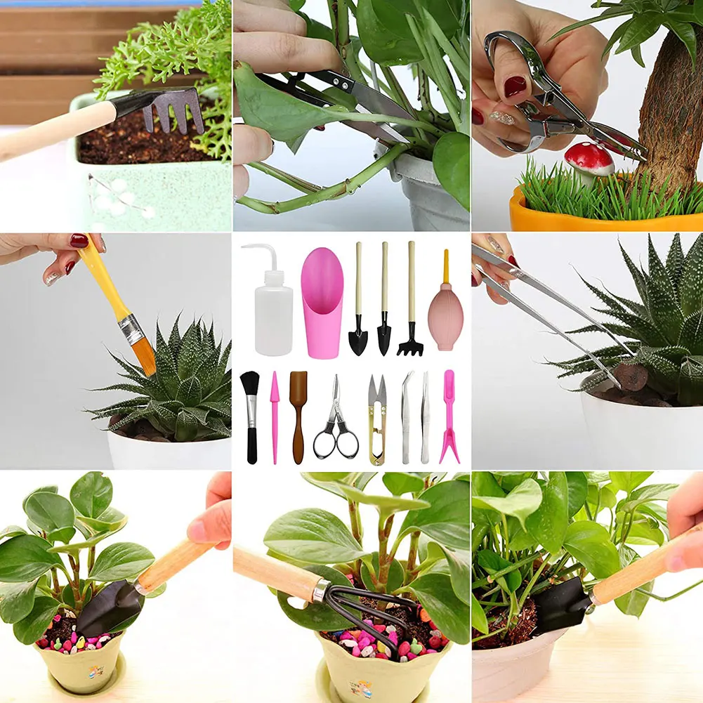 

14PCS/Set Garden Transplanting Kit DIY Accessories Sowing Succulents Care Transplant Tools Gardening Hand Planting Mini Tool Set