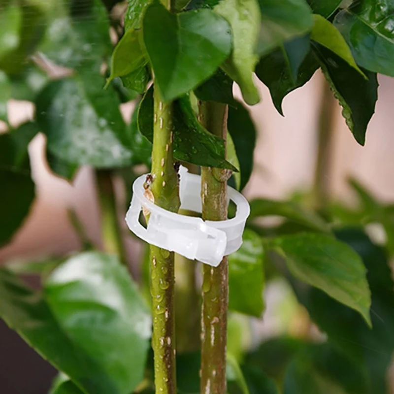 

23mm Plant Support White Greenhouse Accessory Garden About 50pcs Hanging Vine Clip Plastic Plant Clips Vegetables Tomato Clips