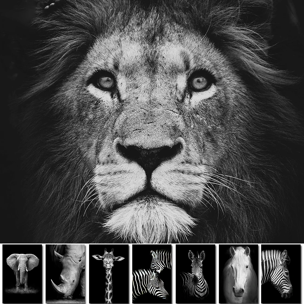 Принты и плакаты с животными жираф Зебра Лев слон лошадь черно белый холст
