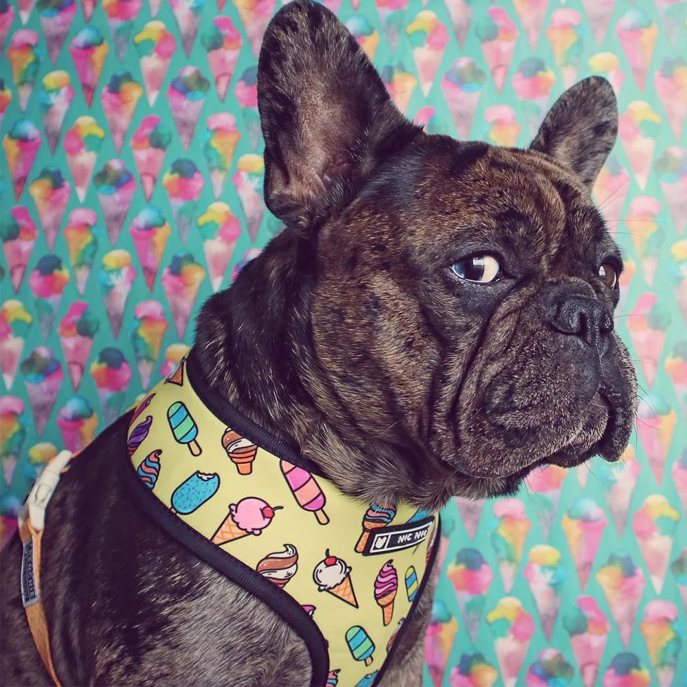 Летняя маленькая собачья упряжь без тяги поводок для маленьких средних собак