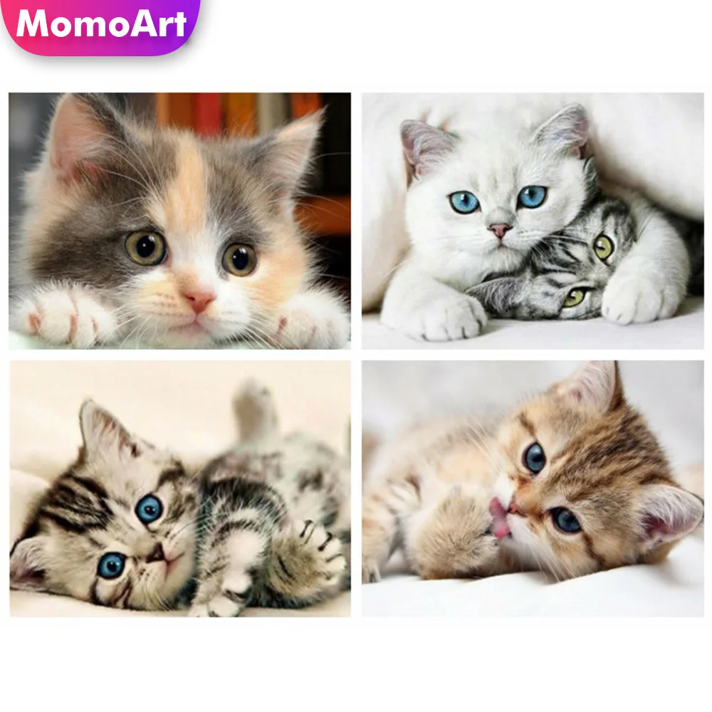 

MomoArt Diamond Painting Animal 5D DIY Diamond Mosaic Full Square Cat Cross Stitch Picture Of Rhinestones Bead Embroidery